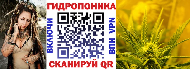 Каннабис ГИДРОПОН  Купить где  Заозёрный 